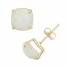 Designs By Gioelli Lab-Created Opal 10k Gold Stud Earrings -Designs by Gioelli Shop unnamed file 1005
