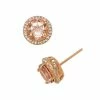 Designs By Gioelli 14k Rose Gold Over Silver Simulated Morganite And Lab-Created White Sapphire Halo Stud Earrings -Designs by Gioelli Shop unnamed file 305