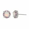 Designs By Gioelli Sterling Silver Lab-Created Opal & Amethyst Stud Earrings -Designs by Gioelli Shop unnamed file 486